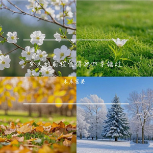 风间阿姨演过哪些电影
