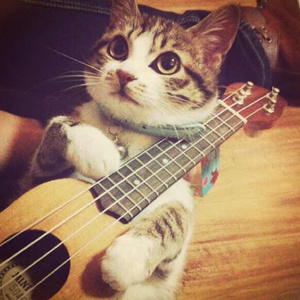 风间阿姨演过哪些电影
